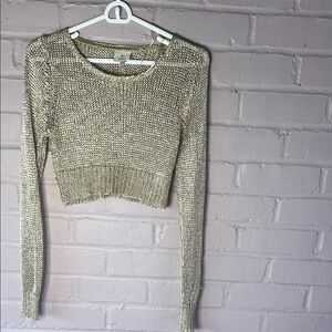 Metallic Knit Long Sleeve crop top